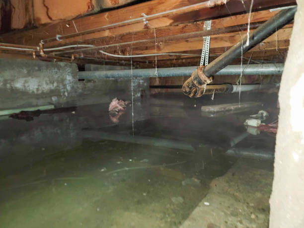 Best Water damage restoration near me  in Baird, TX