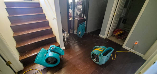 Reliable Baird, TX Water damage restoration Solutions