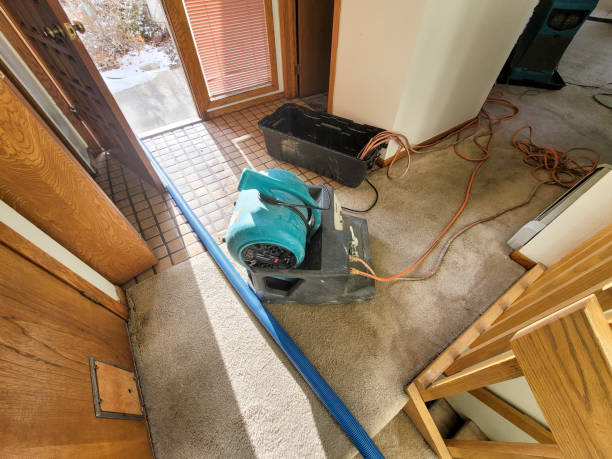 Best Basement water damage restoration  in Baird, TX