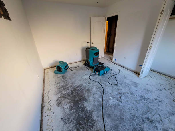 Best Residential water damage restoration  in Baird, TX
