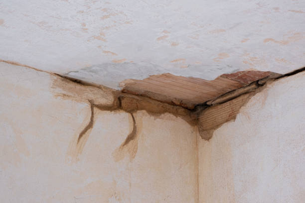 Best Water damage restoration experts  in Baird, TX
