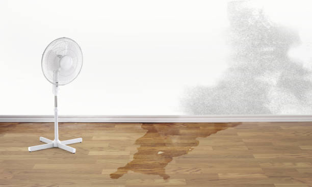 Water damage restoration experts in Baird, TX